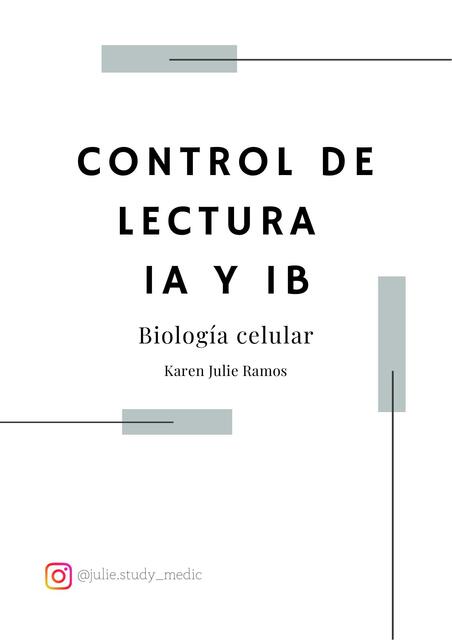 Control de Lectura 1A - 1B