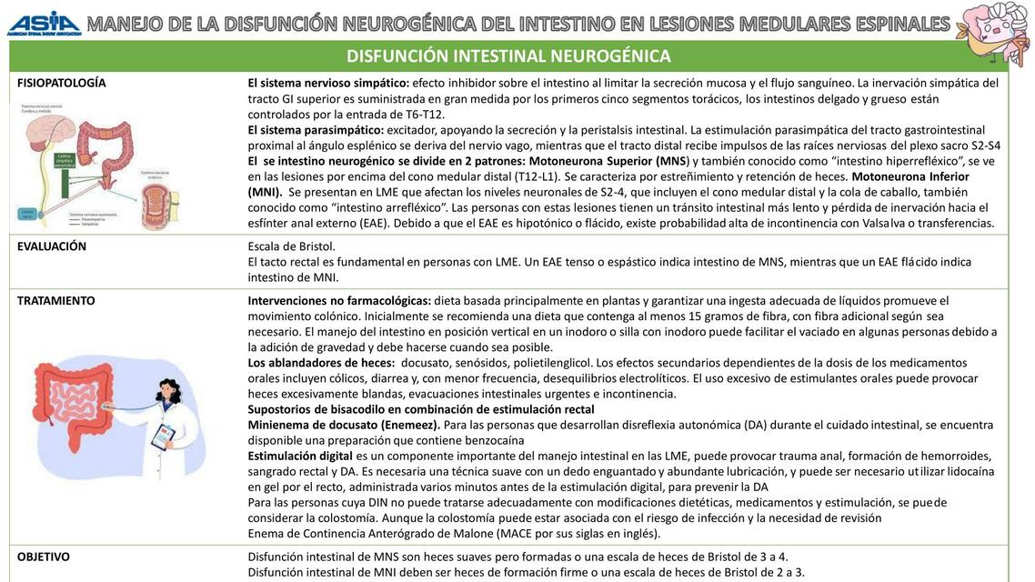 Manejo de la Disfunción Neurogénica del Intestino en Lesiones Medulares Espinales 