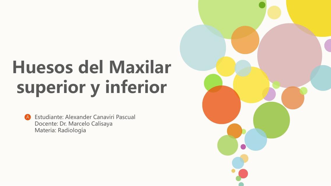 Huesos del Maxilar superior y inferior  