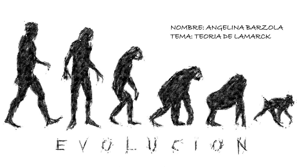 La evolución 