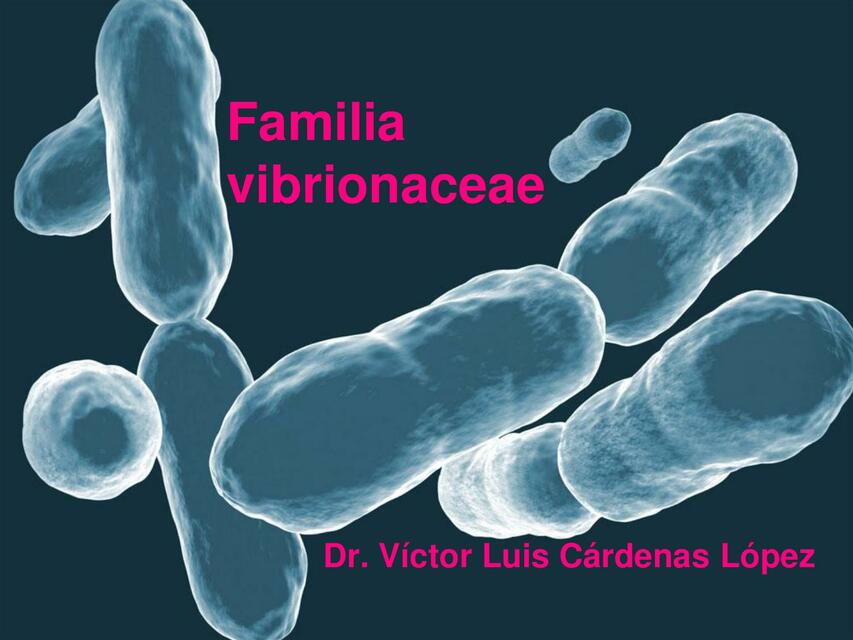 Familia Vibrionaceae shadow uDocz
