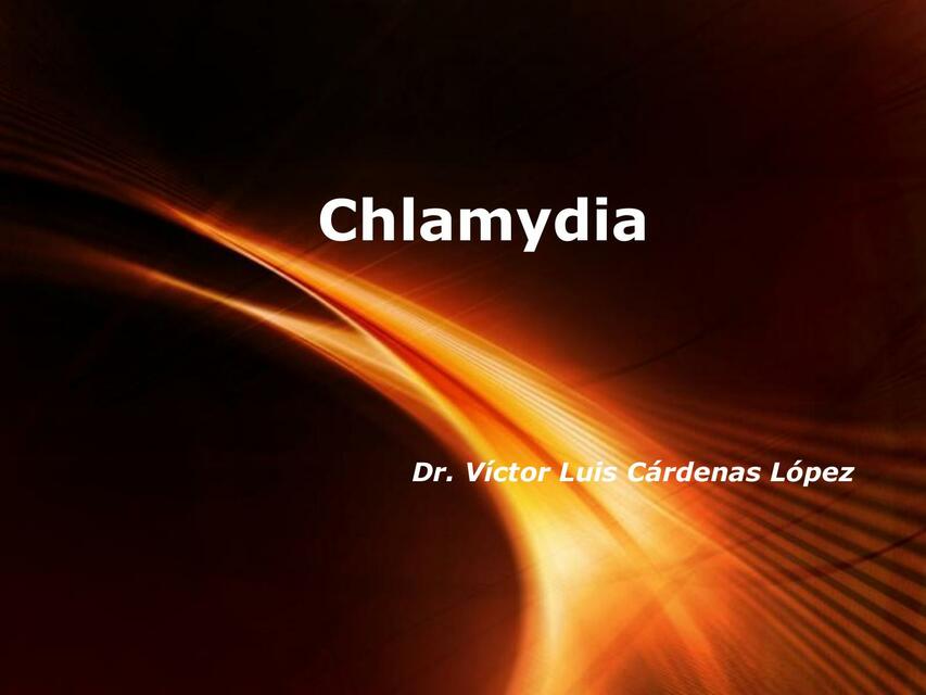 Chlamydia shadow uDocz