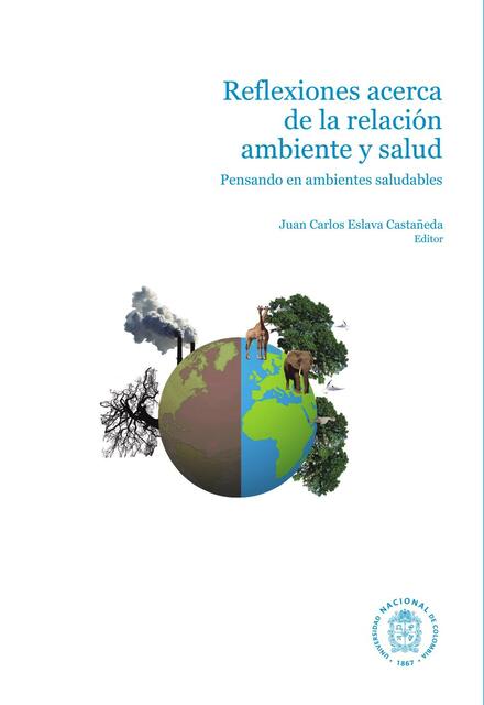 Reflexiones acerca de la relación ambiente y salud. Pensando sobre ambientes saludables