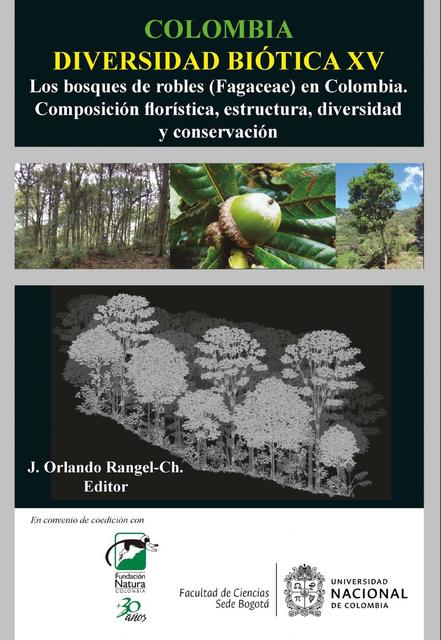 Colombia diversidad biótica XV : Los bosques de robles (Fagaceae) en Colombia : Composición florística, estructura, diversidad y conservación