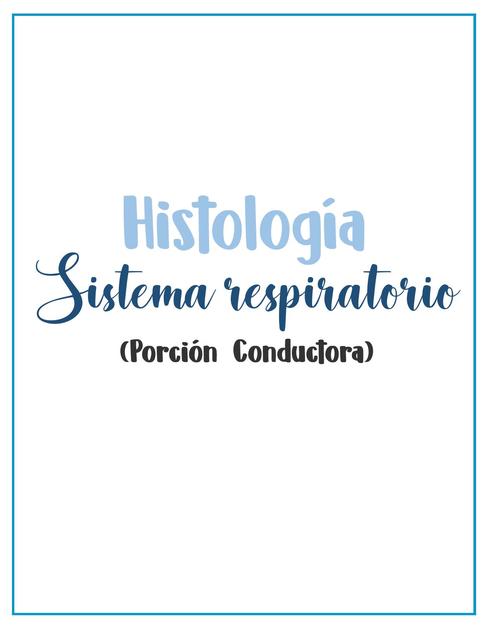 Histología sistema respiratorio 2    