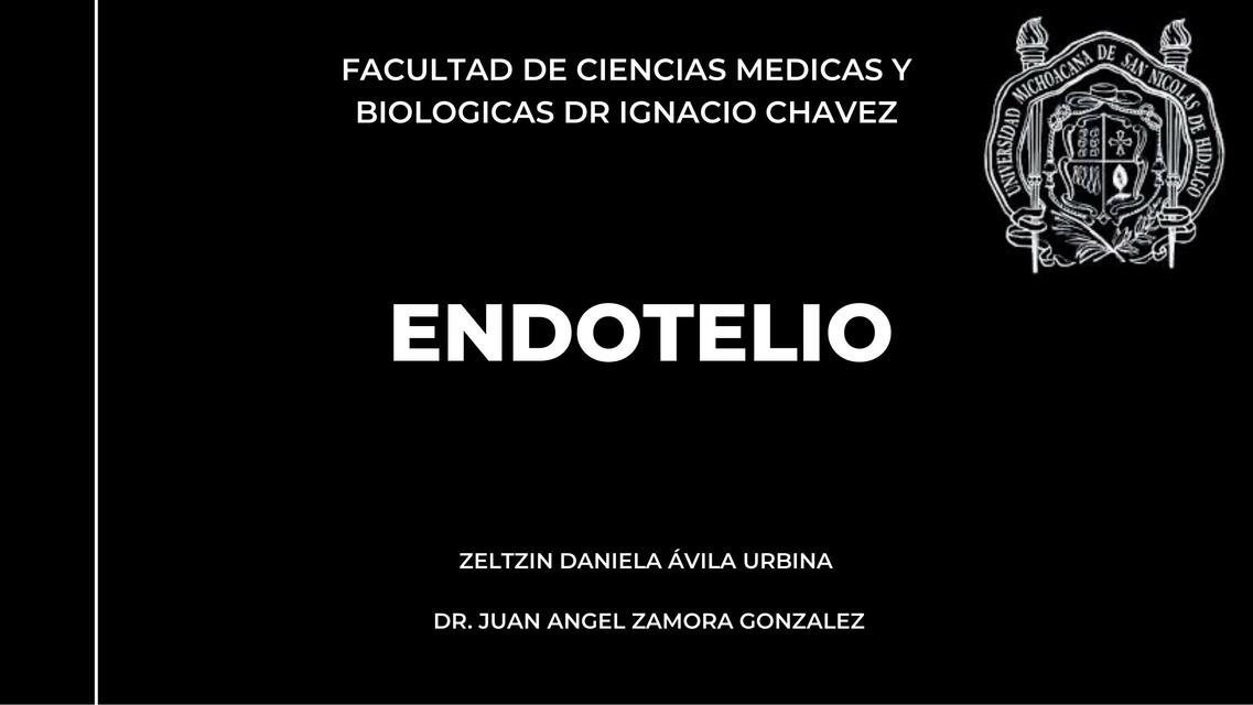 Endotelio