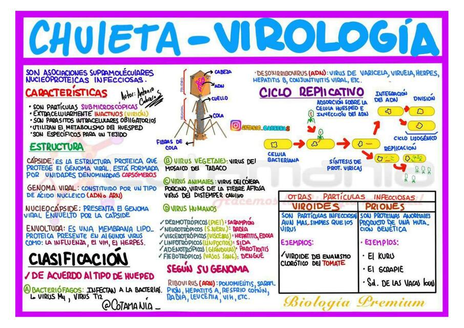 Chuleta- Virología 