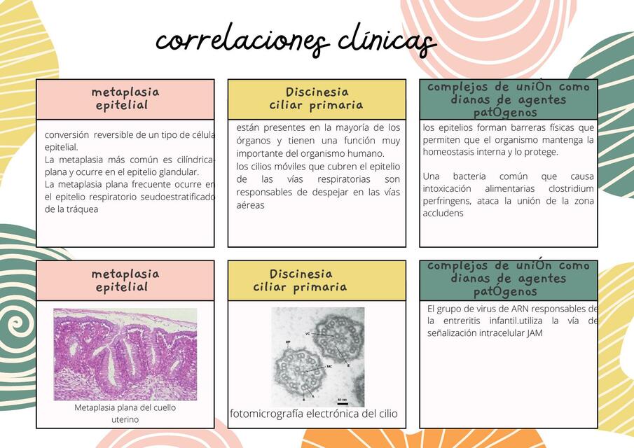 Correlaciones Clínicas