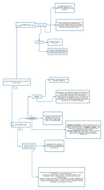 Clasificación de los Órganos Linfoides 