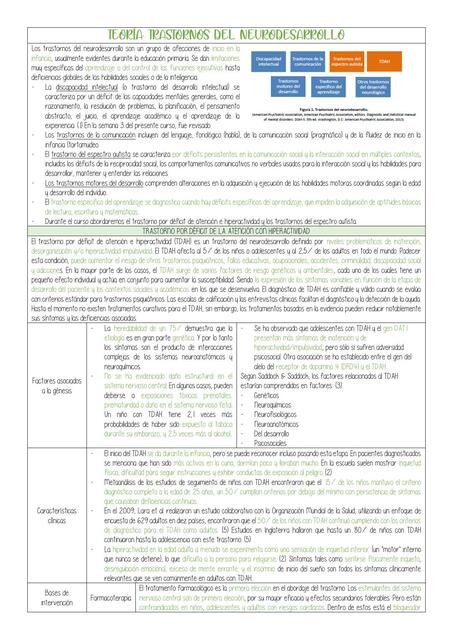 Teoría: Trastornos del Neurodesarrollo 