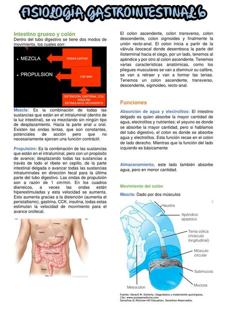 Fisiología Gastrointestinal