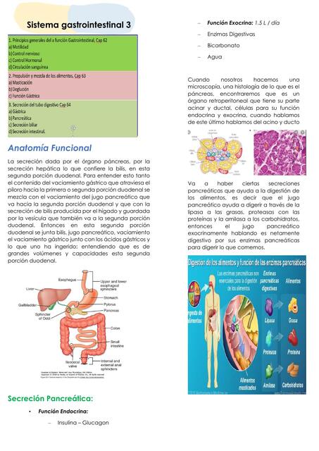 Sistema Gastrointestinal 