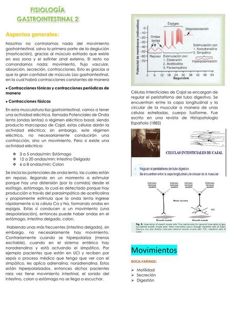 Sistema Gastrointestinal 