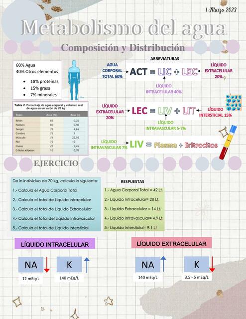 Metabolismo del Agua