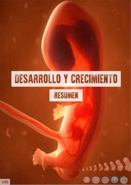 Desarrollo y Crecimiento 