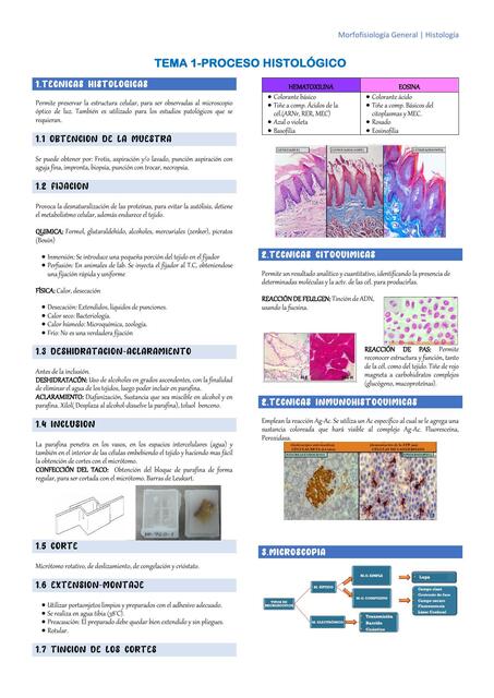 Proceso Histológico 