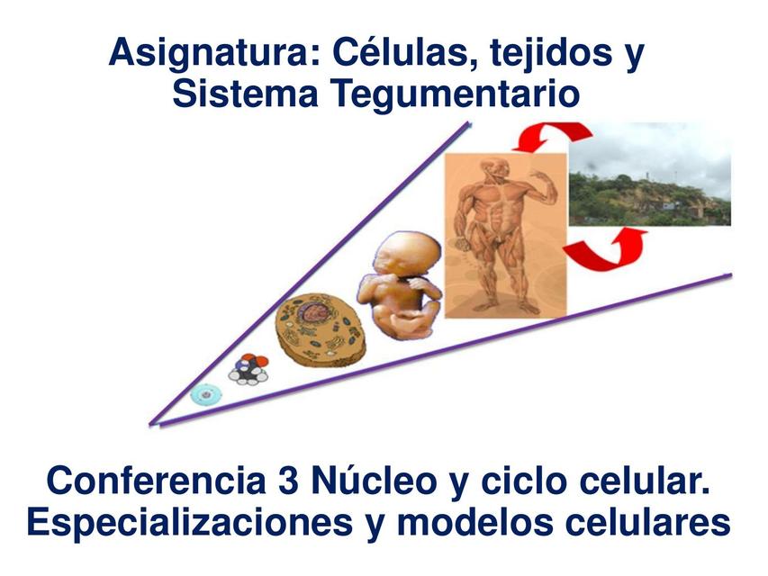 Células, tejidos y Sistema Tegumentario 