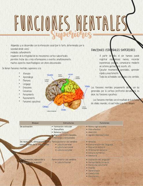 Funciones Mentales Superiores 