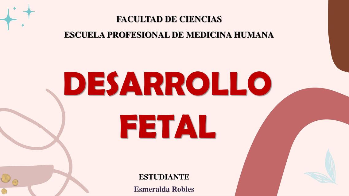 Desarrollo Fetal 