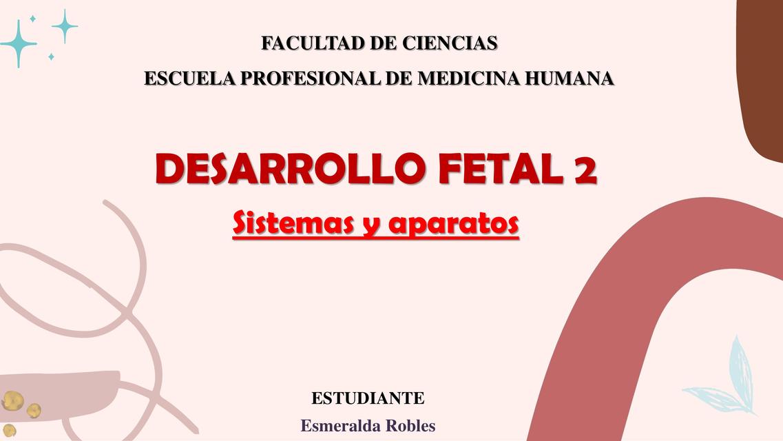 Desarrollo Fetal 2