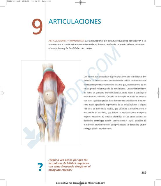 Articulaciones