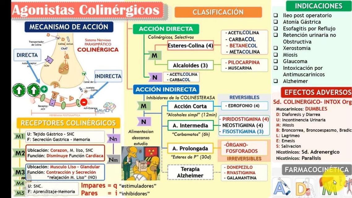 Agonistas Colinérgicos