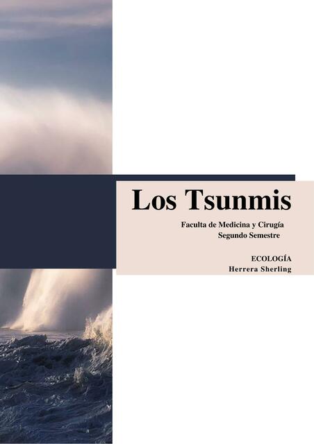 Los Tsunamis, cuestionario informativo sobre los tsunamis y que hacer ante ello 