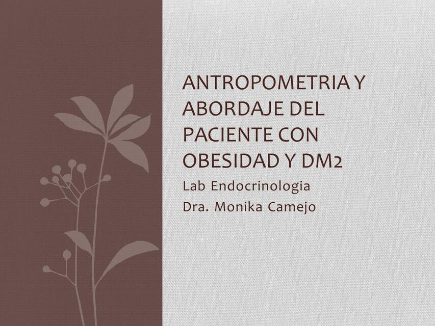 Antropometría y Abordaje del Paciente con Obesidad y DM2 