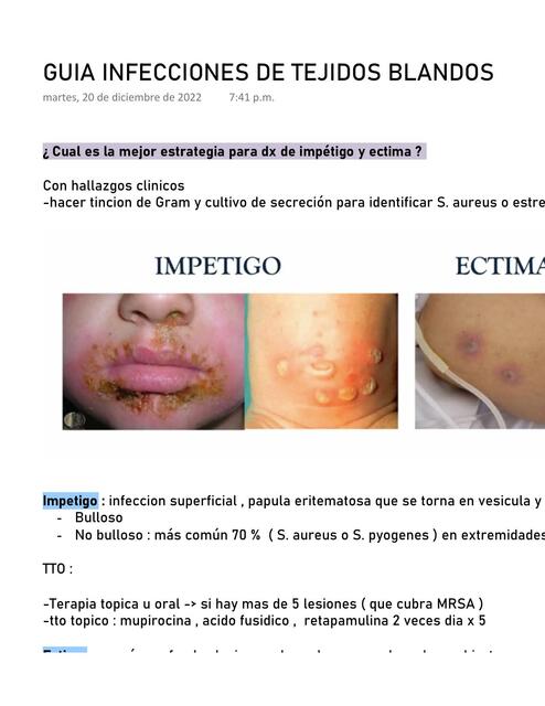 Guía Infecciones de Tejidos Blandos 