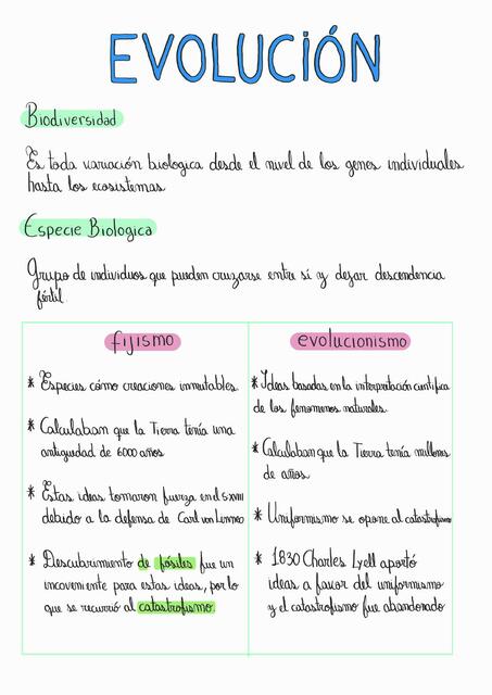 Evolución