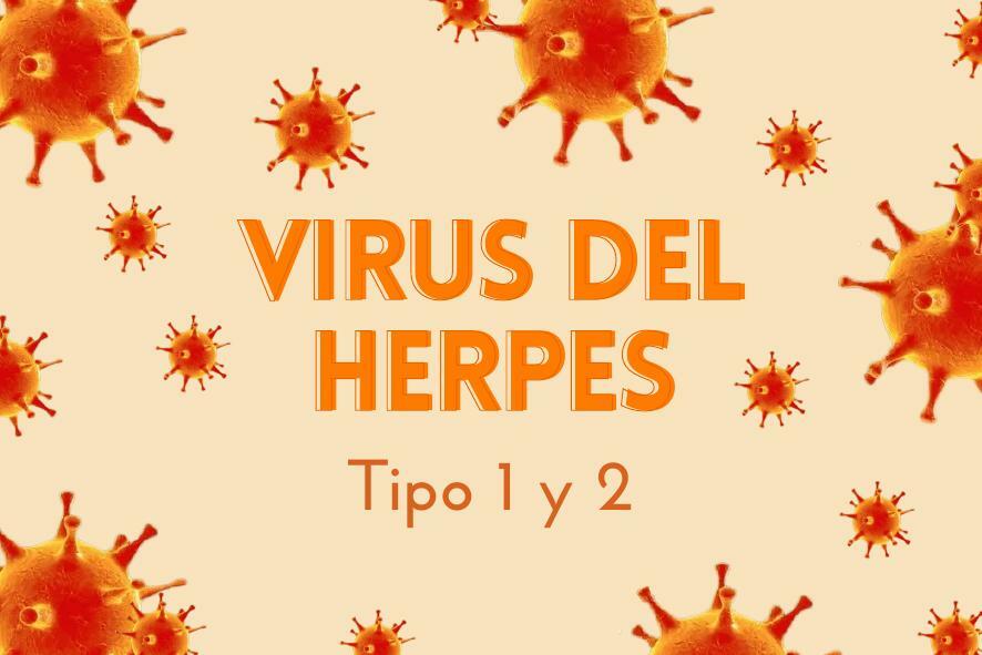 8 Virus del herpes