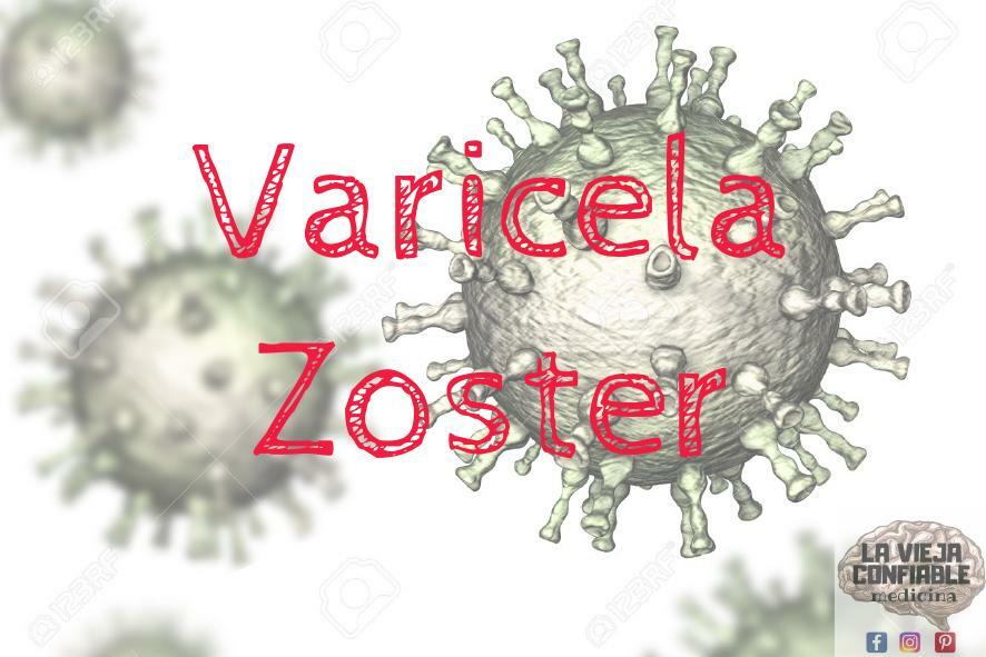  Varicela Zoster