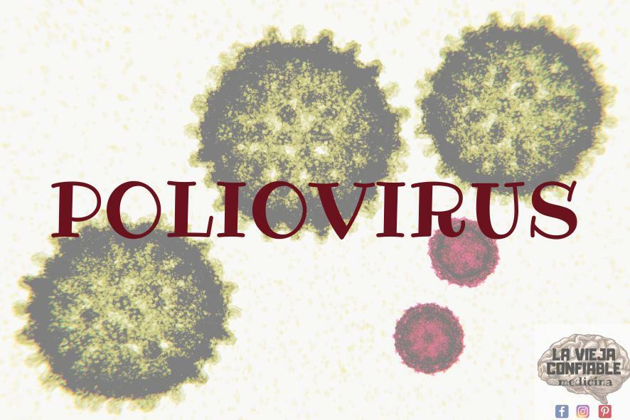 Poliovirus