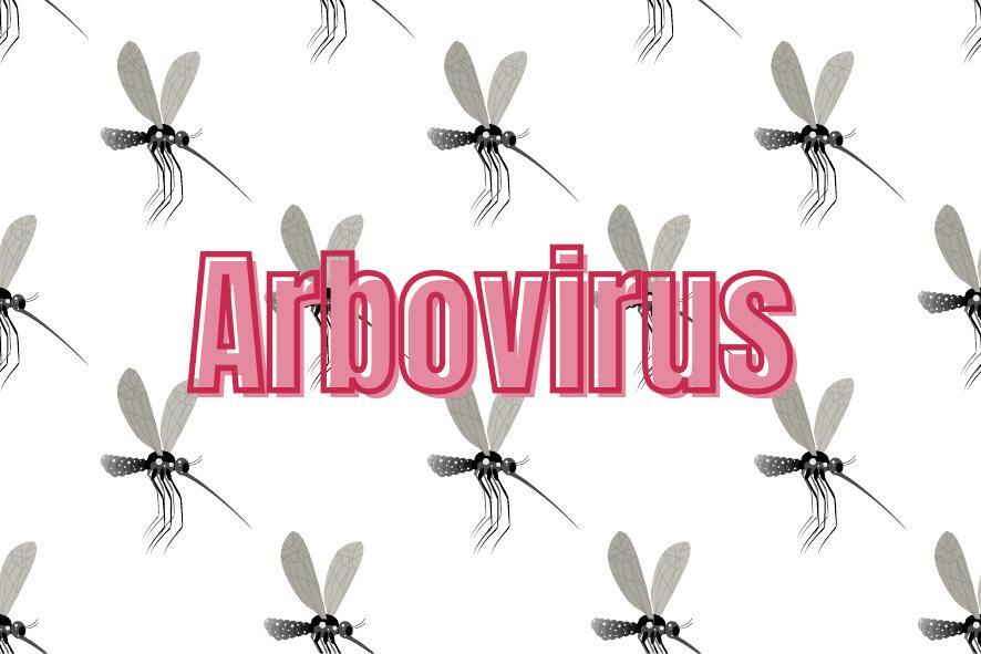 Abrovirus