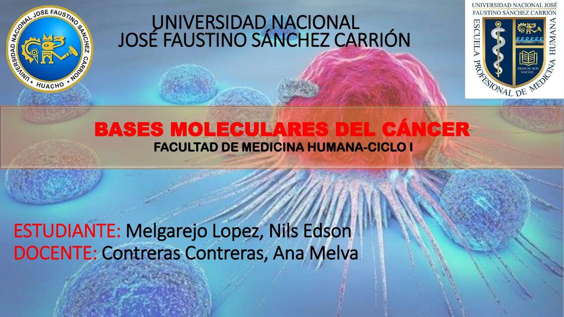 Bases Moleculares del Cáncer