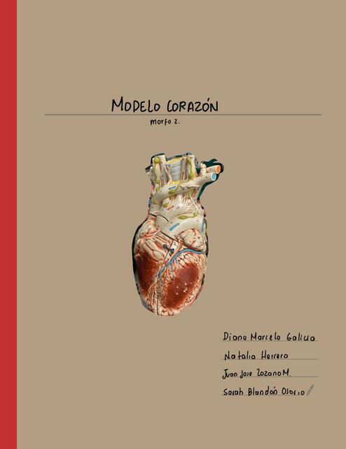 Corazón, modelos (partes) 