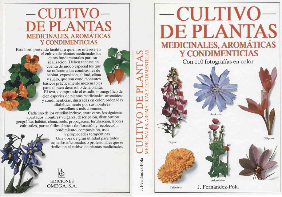 Cultivo de Plantas Medicinales Aromáticas y Condimentarías 