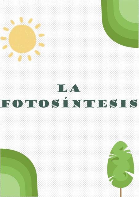 La Fotosíntesis