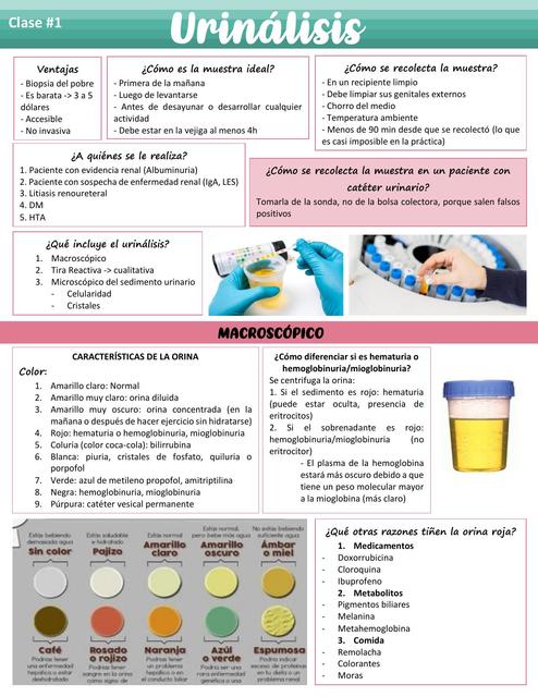 Clase 1 Urinálisis 