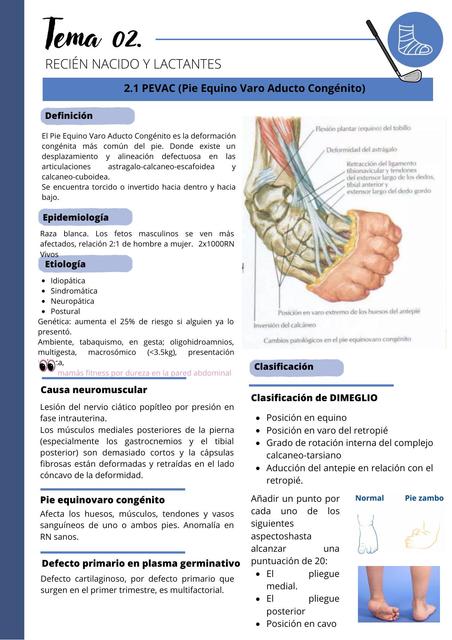 Recién nacido y lactantes  