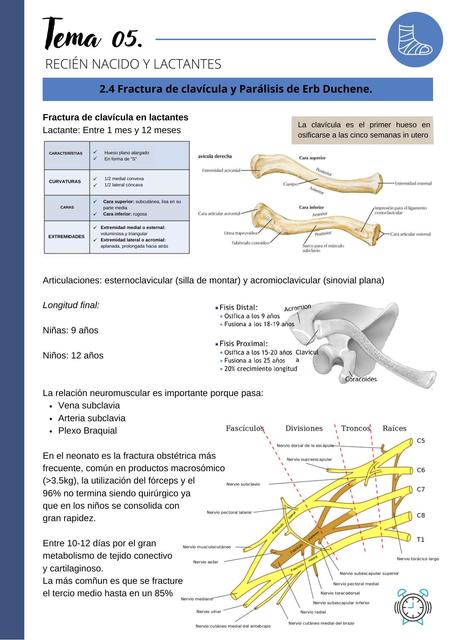 Fractura de clavícula y Parálisis de Erb Duchene 