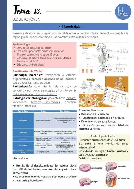 Ortopedia y trauma: Adulto joven, Lumbalgia. 