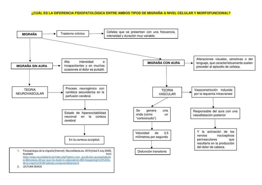 Fisiopatología de la Migraña 