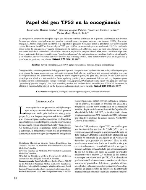 Papel del Gen TP53 en la Oncogénesis