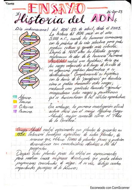 Ensayo DNA 