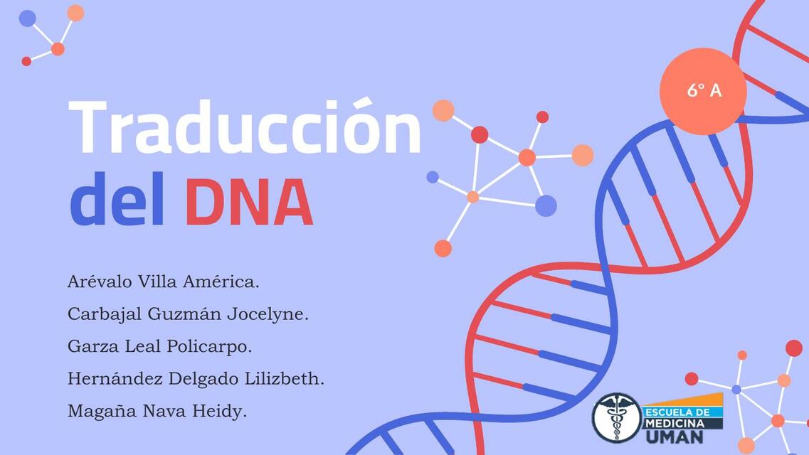 Traducción del DNA