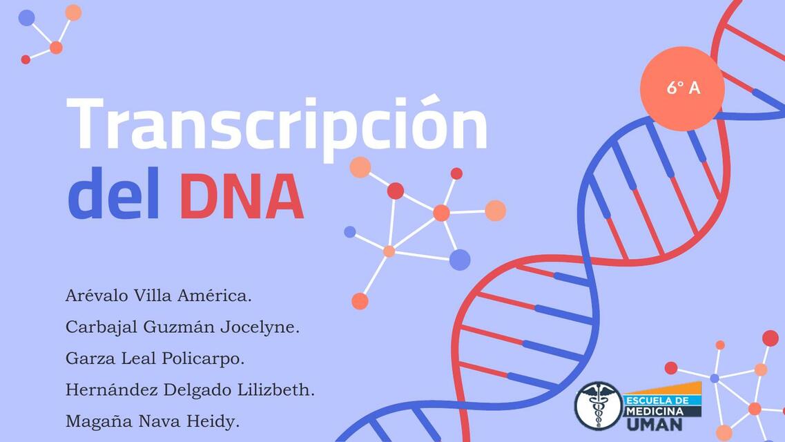 Transcripción del DNA