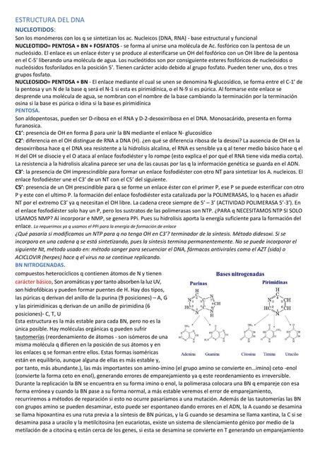 Estructura del DNA 