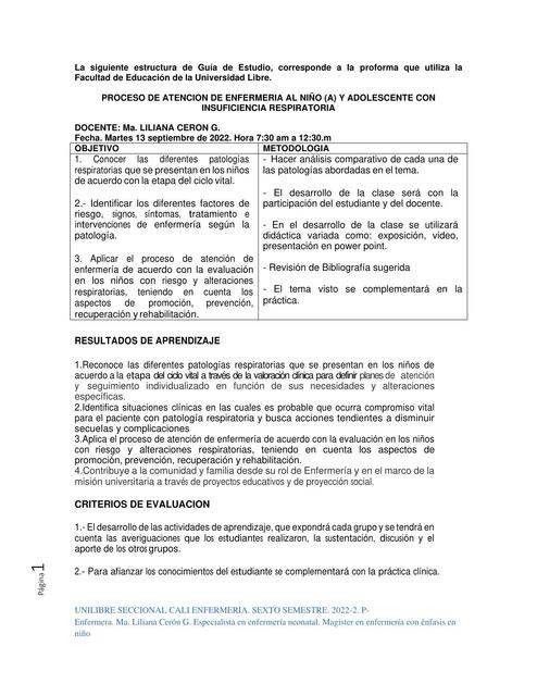 Proceso de Atención de Enfermería al Niño y Adolescente con Insuficiencia Respiratoria 