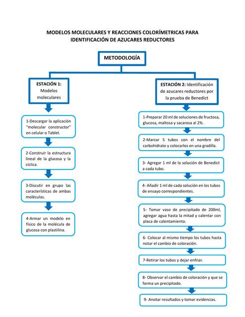 Modelos Moleculares y Reacciones Colorimétricas para Identificación de Azúcares Reductores 